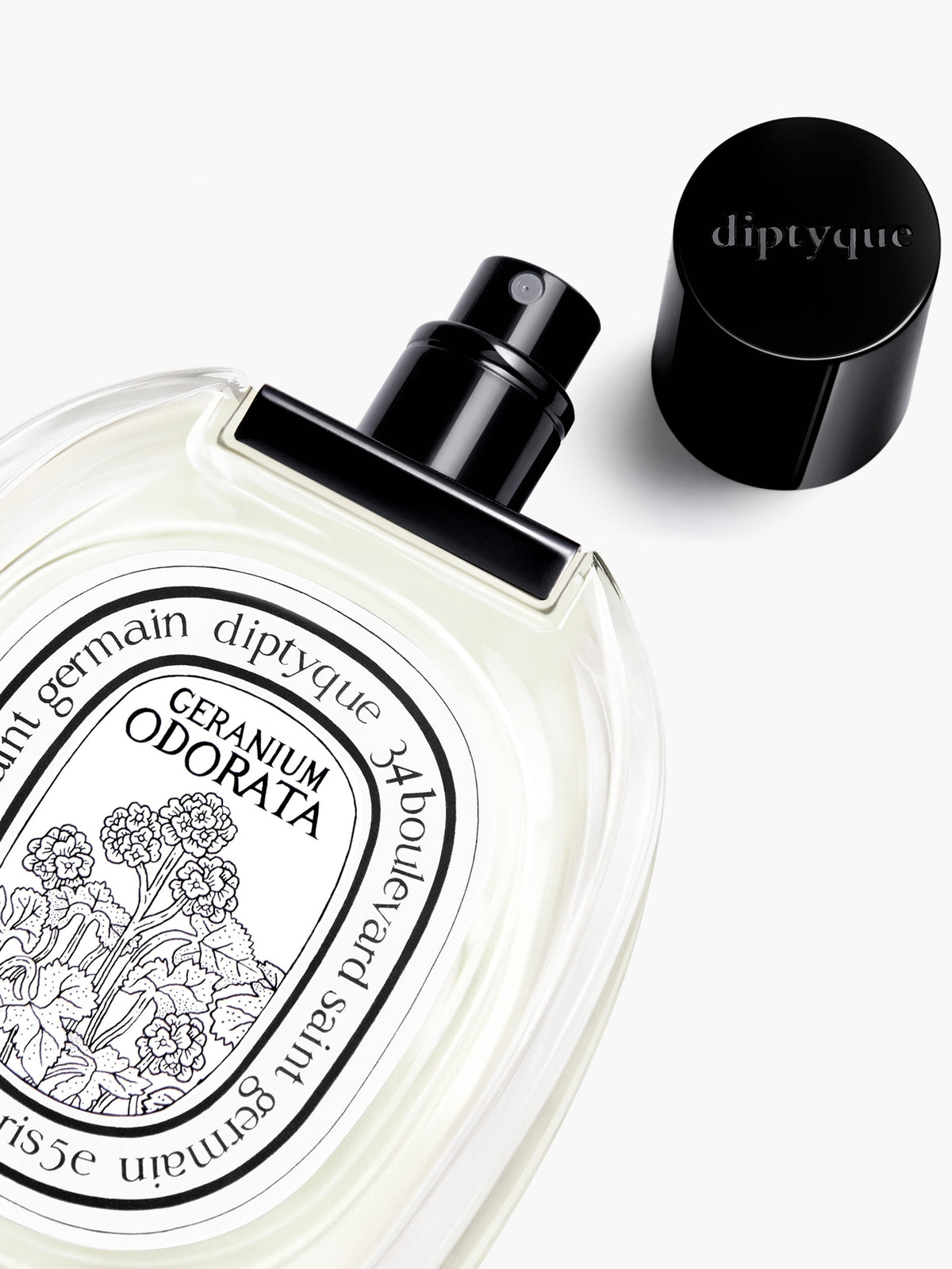 Geranium Odorata - Eau de toilette