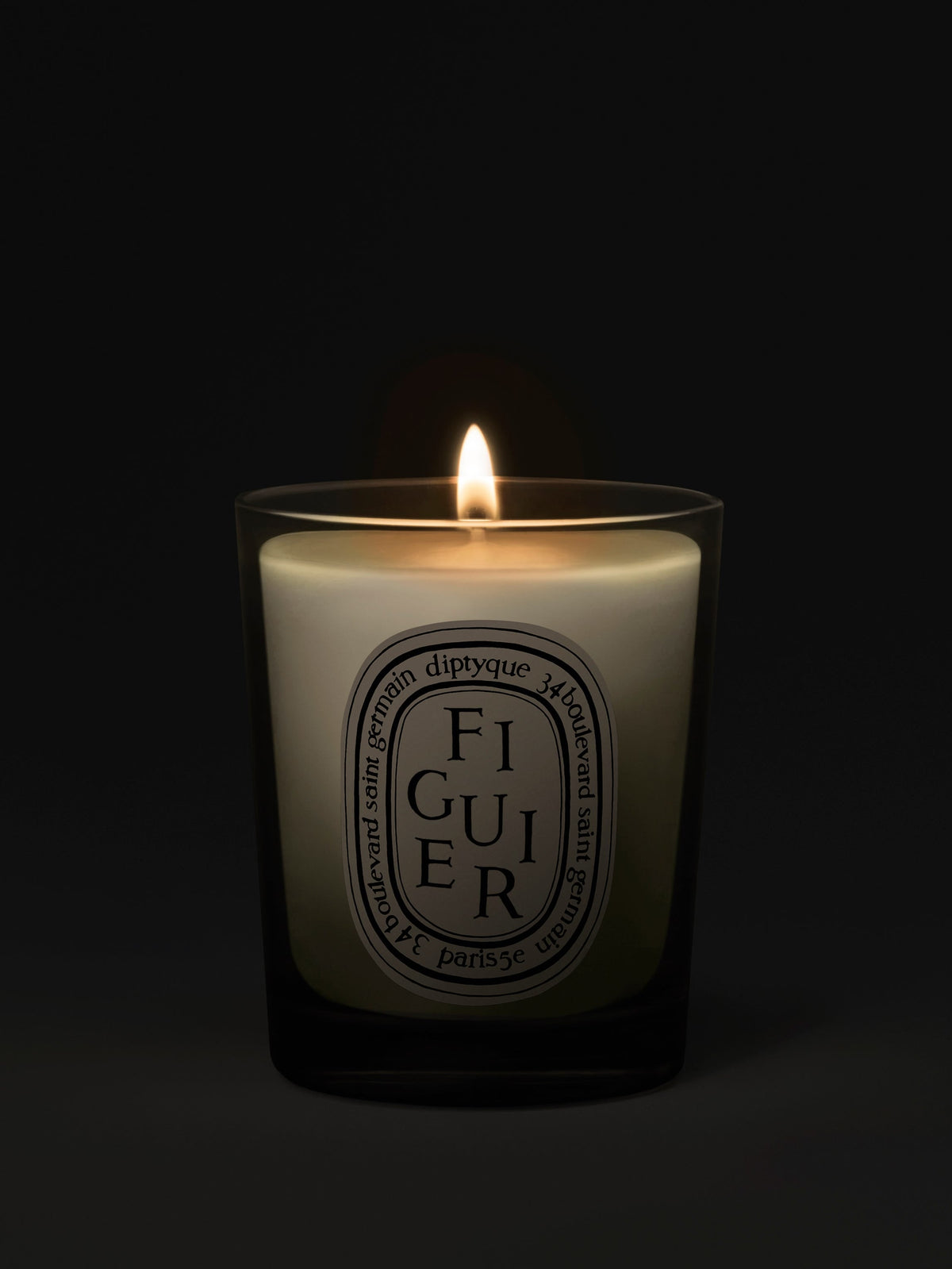 Figuier (Fig Tree) - Small Candle