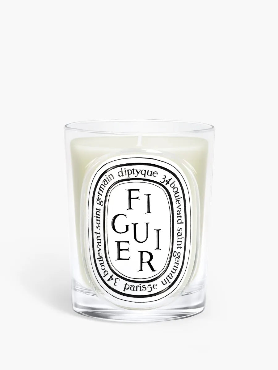 Figuier (Fig Tree) - Medium Candle